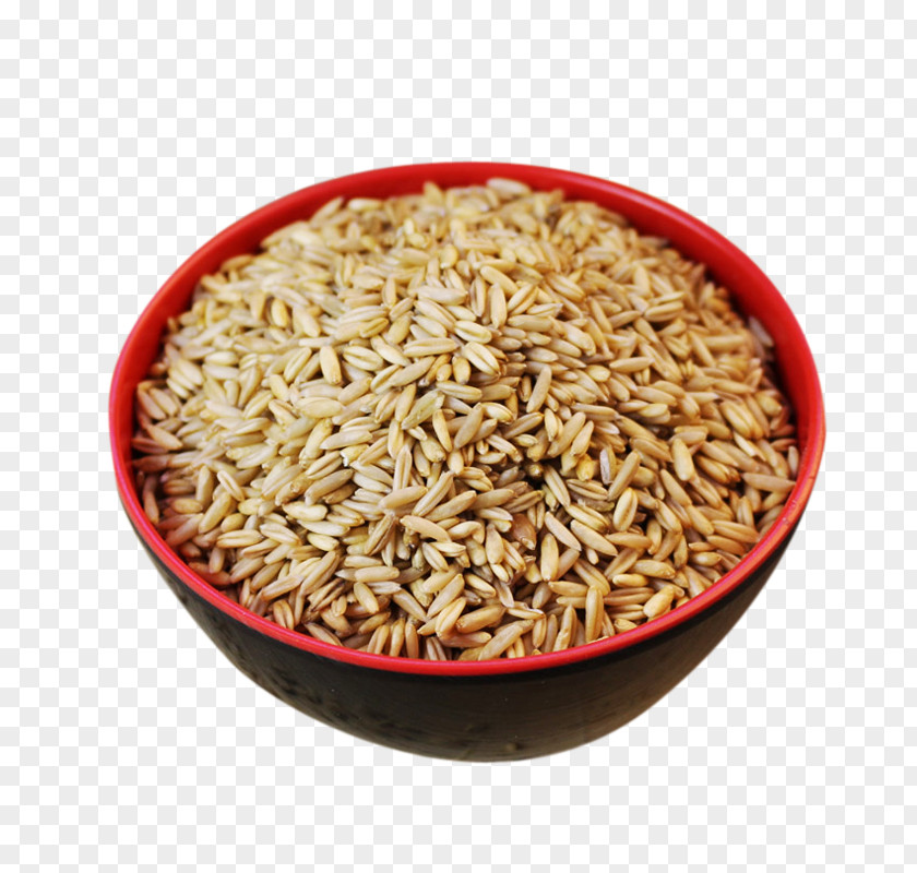 Yan Pearl Barley Quality Oat Brown Rice PNG