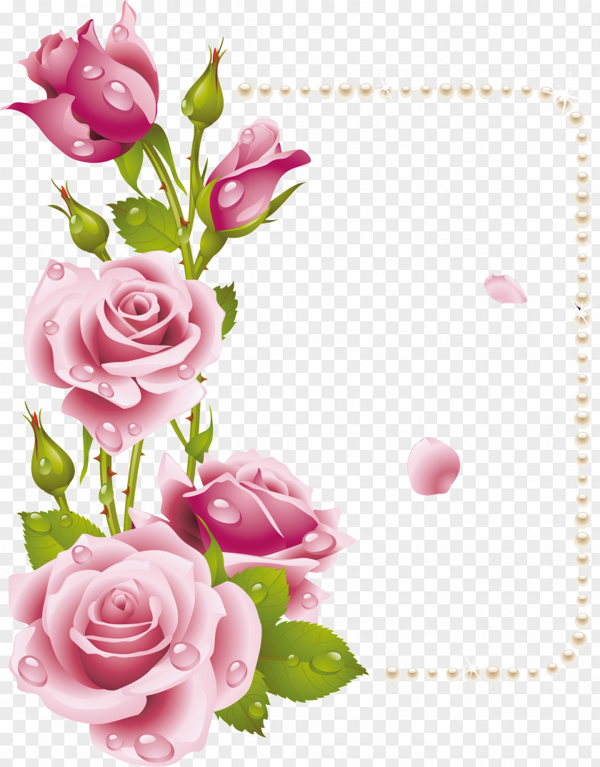 50 Rose Flower Picture Frames Pink Clip Art PNG