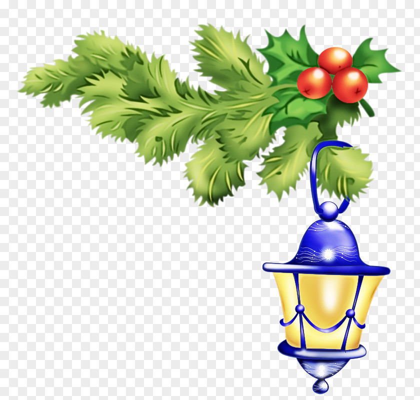 Holly Fruit PNG