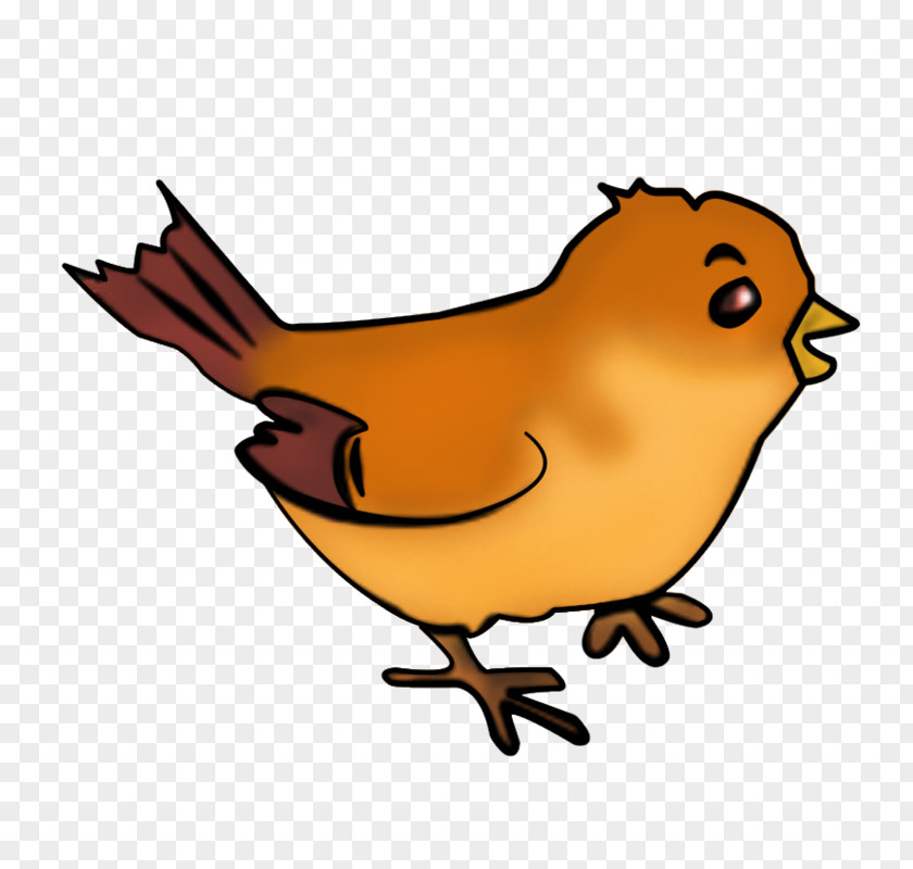 Beak Cartoon Wildlife Chicken As Food Clip Art PNG