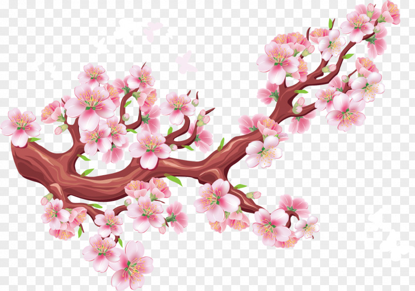 Flower Branch Cherry Blossom Bird PNG