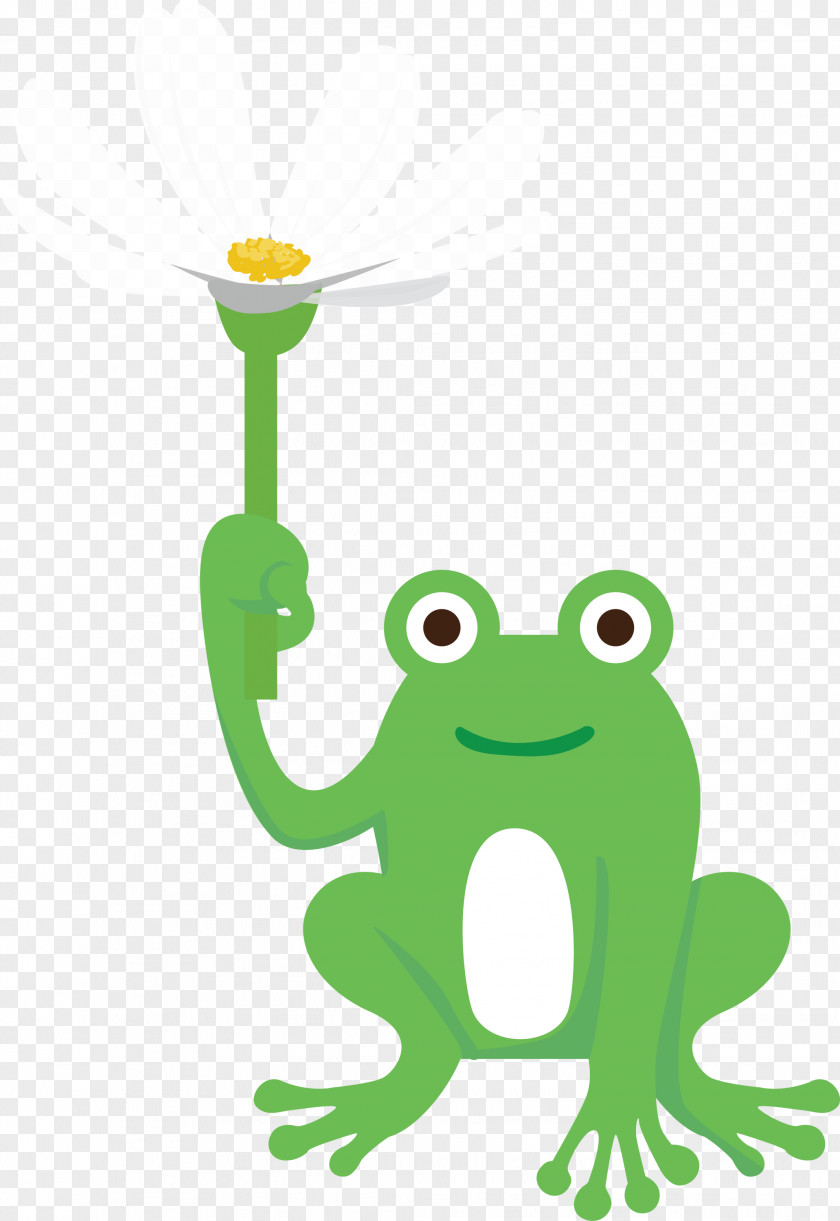 Frogs Tree Frog Cartoon Green Meter PNG