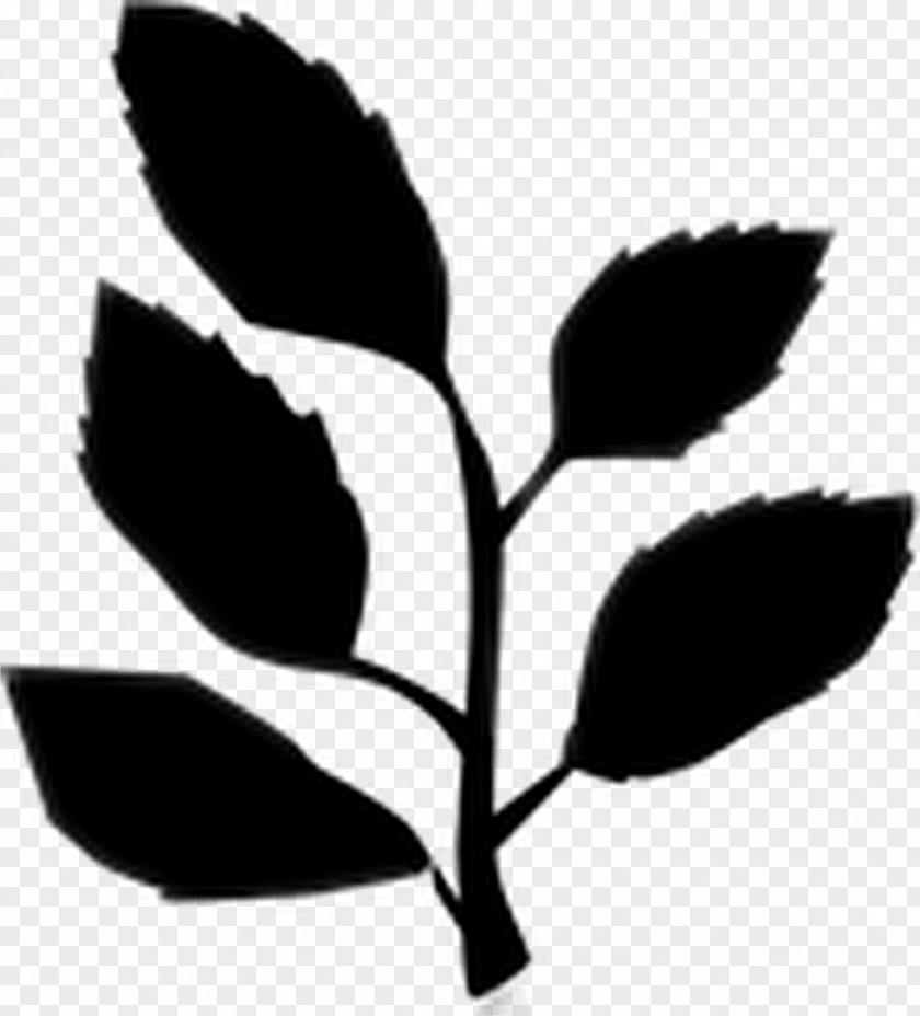 Leaf Flowering Plant Stem Plants PNG