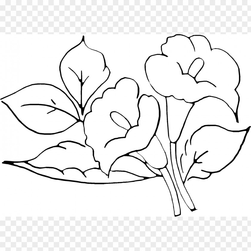 Painting Drawing Art Textile PNG