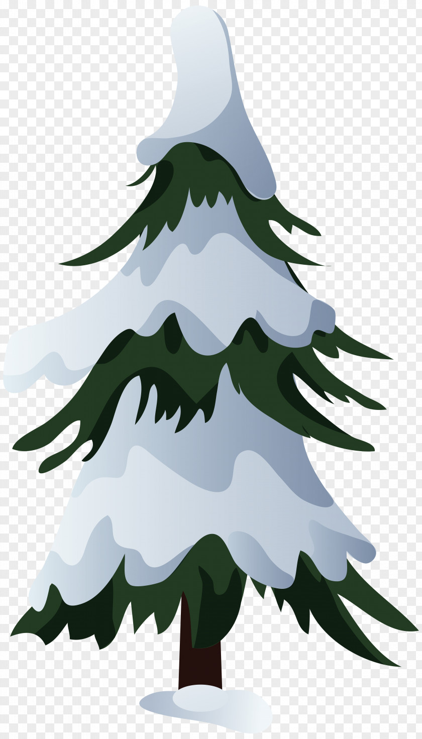 Pine Tree Christmas Snow PNG