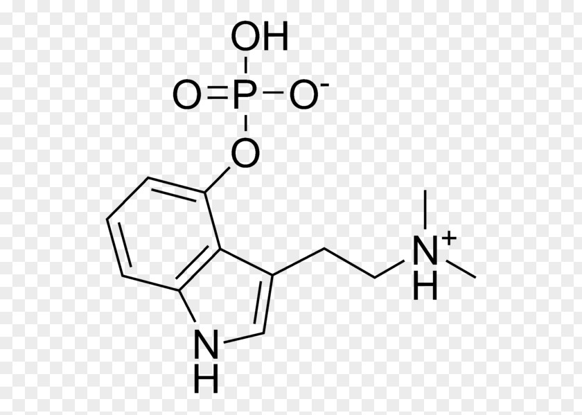 Psilocybin Mushroom Chemical Structure Psilocin Tryptamine PNG mushroom structure Tryptamine, others clipart PNG