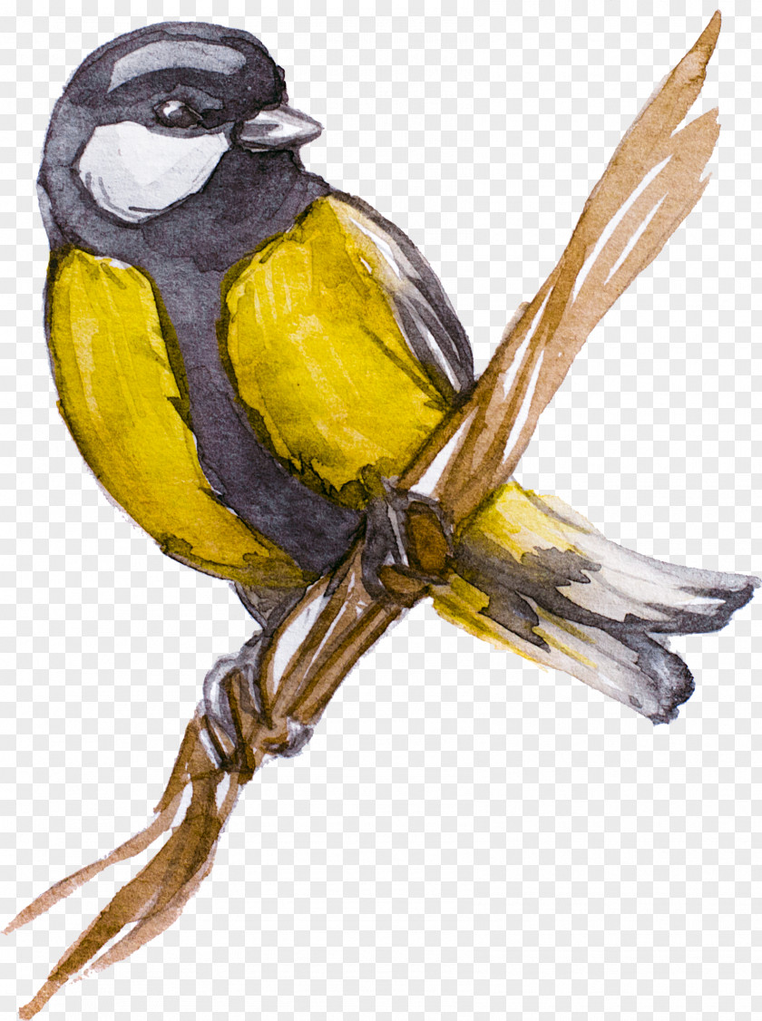 Tshirt T-shirt Creative Watercolor Painting Bird Paper PNG