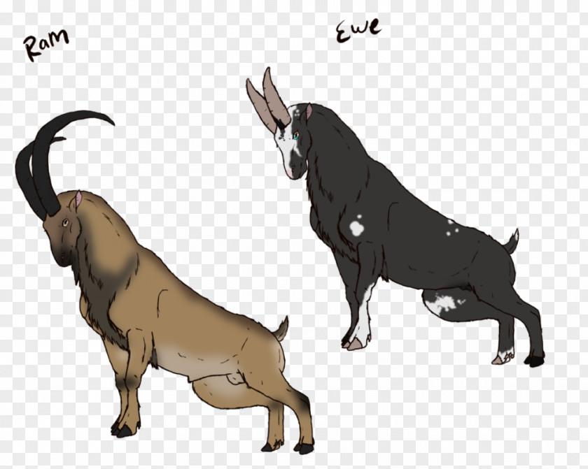 Dog Cattle Ox Horse Goat PNG