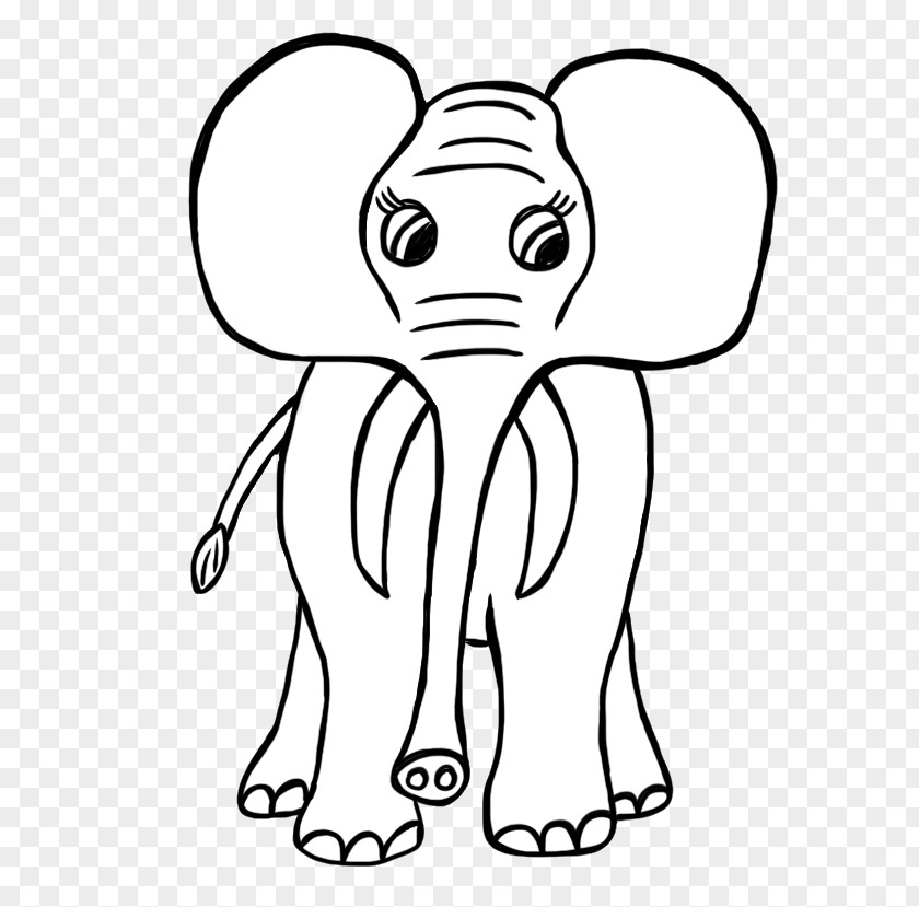 Elephant Drawings Images African Indian Lion Drawing Clip Art PNG