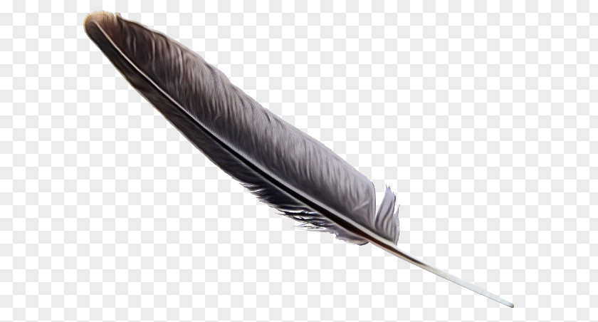 Feather PNG