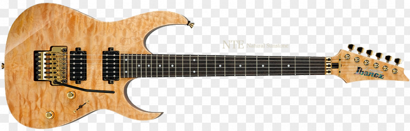 Japan Bridge Electric Guitar Gretsch Ibanez Guitarist PNG