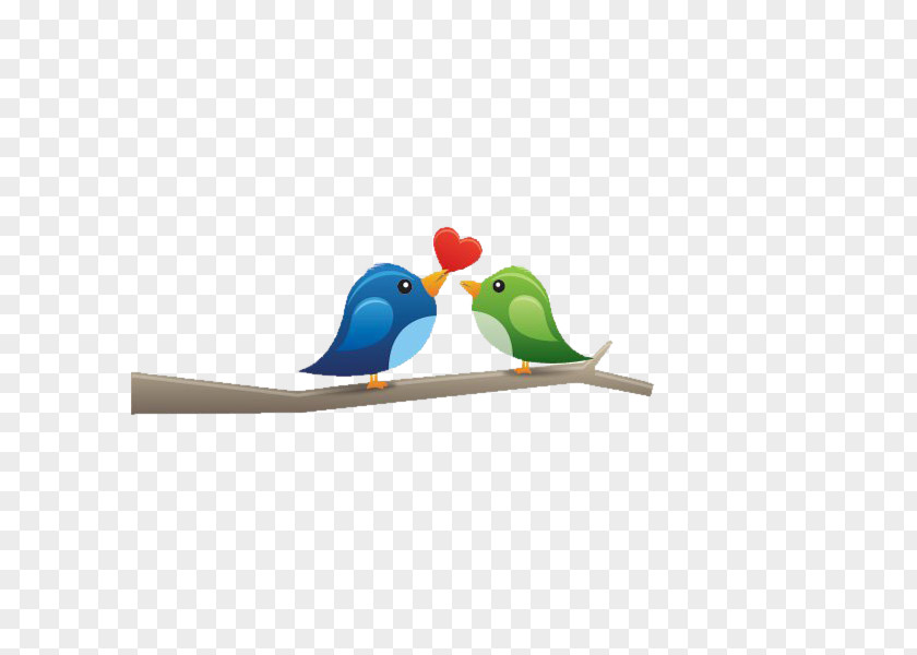 Love Birds Lovebird Owl Illustration PNG
