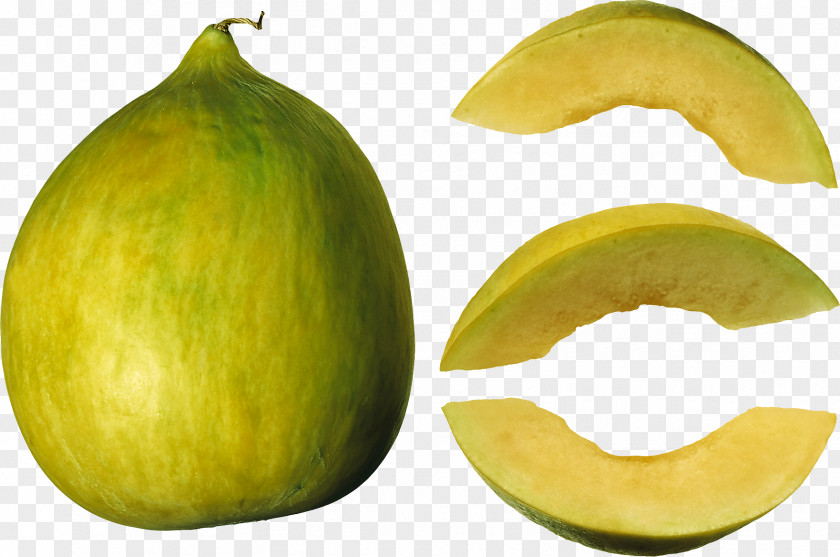 Melon Food Galia Cantaloupe Fruit PNG