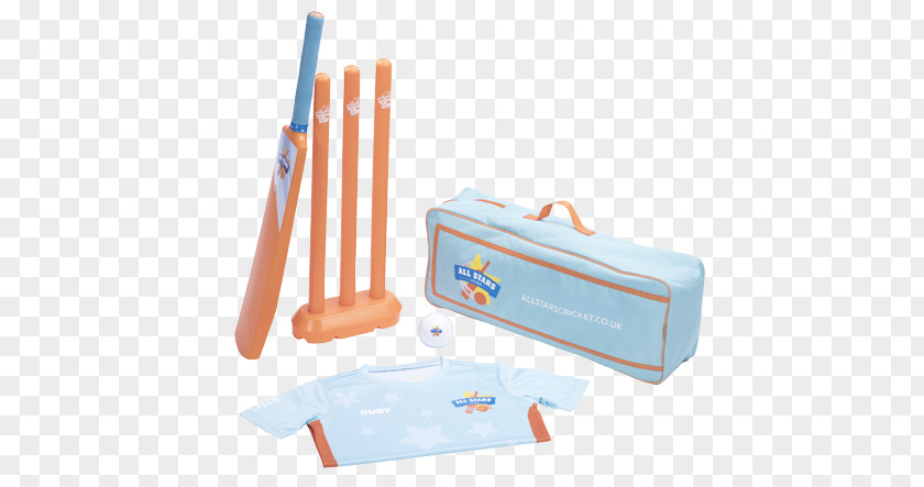 Playing Cricket England Team And Wales Board Binfield Club Bats PNG