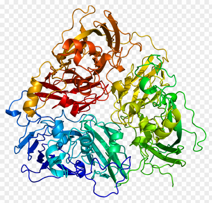 PPT Ceruloplasmin ATP7A Wilson Disease Protein Human Iron Metabolism PNG