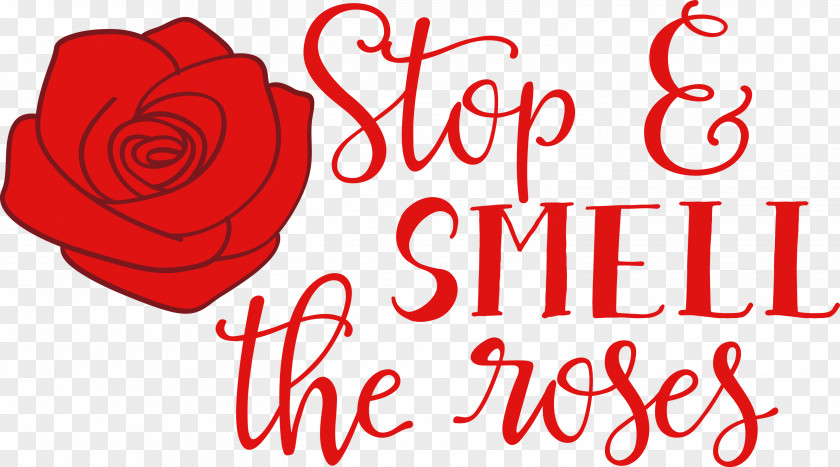 Rose Stop And Smell The Roses PNG