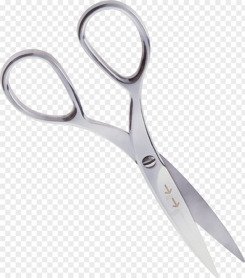 Scissors Hair Product Design PNG
