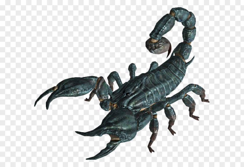 Scorpion Fallout: New Vegas Fallout 3 Tactics: Brotherhood Of Steel 4 PNG