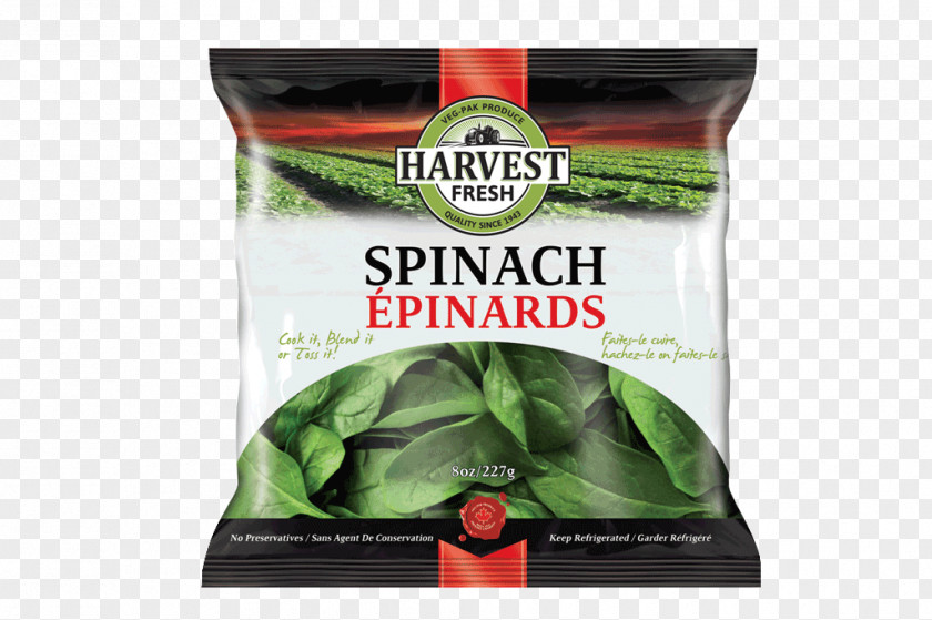 Vegetable Leaf Spinach Salad Creamed PNG
