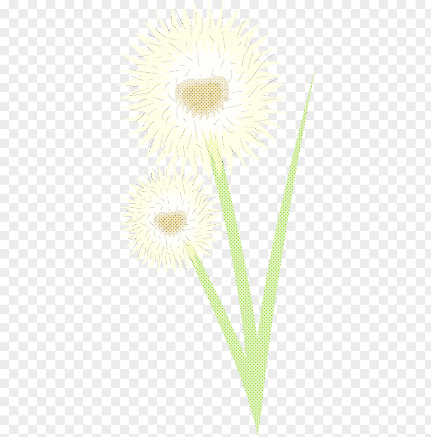 Yellow Flower Plant Dandelion PNG