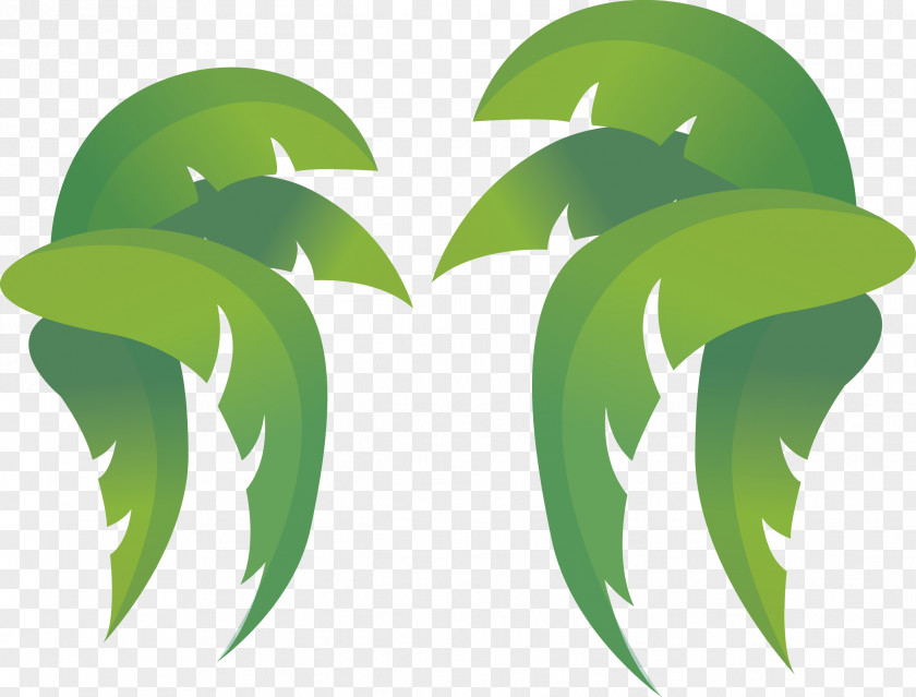 Coconut Leaves Leaf Clip Art PNG