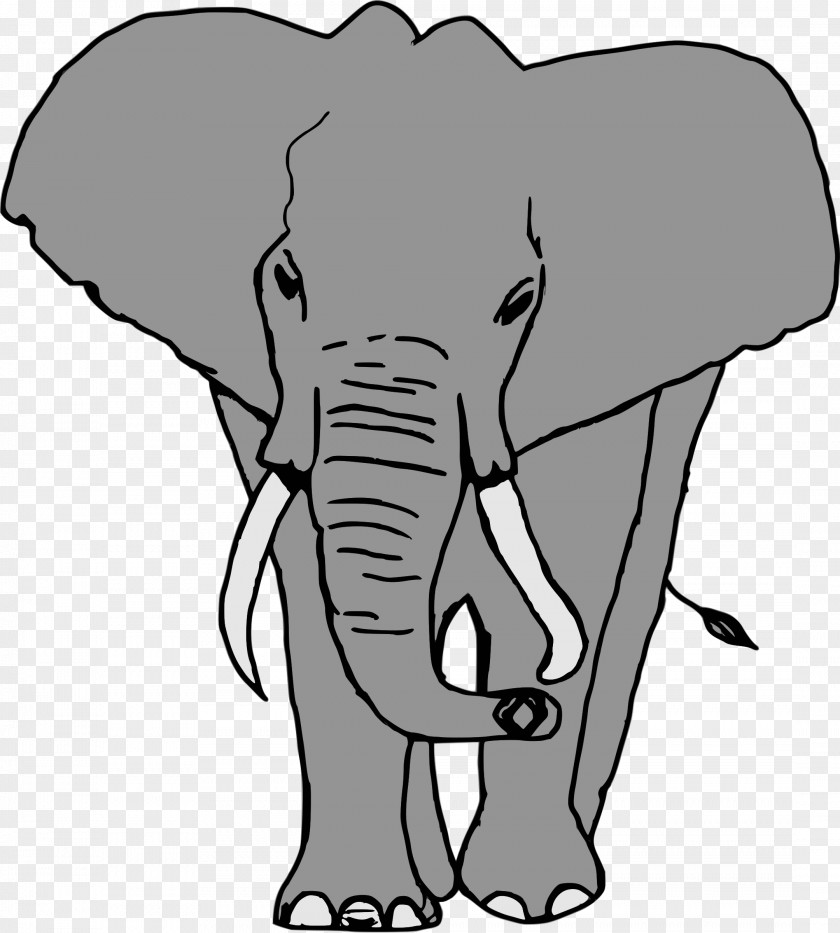 Drawing Animals Illustration Elephant PNG