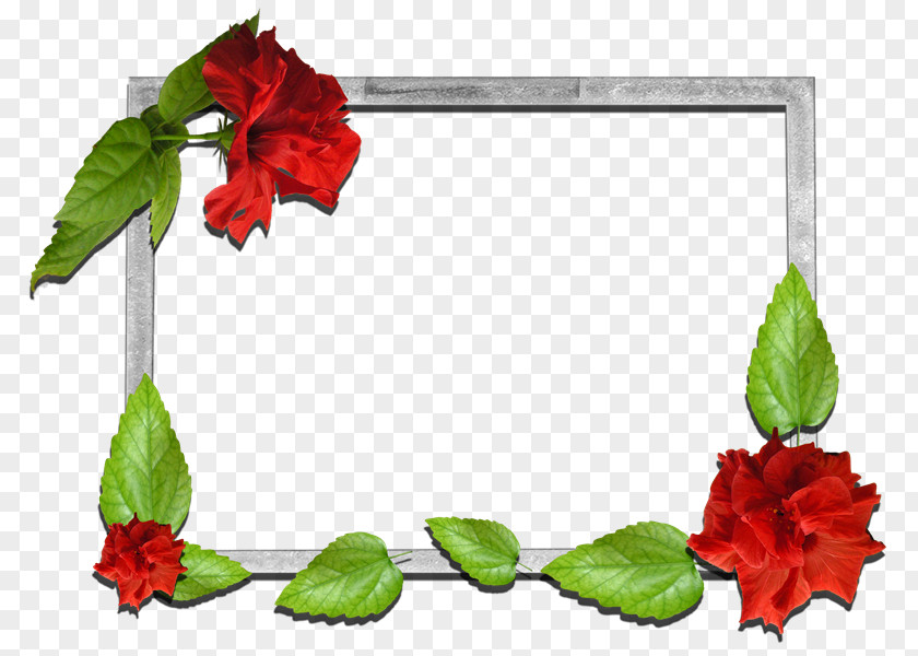 Gong Xi Fat Cai Picture Frames Flower Floral Design Photography PNG