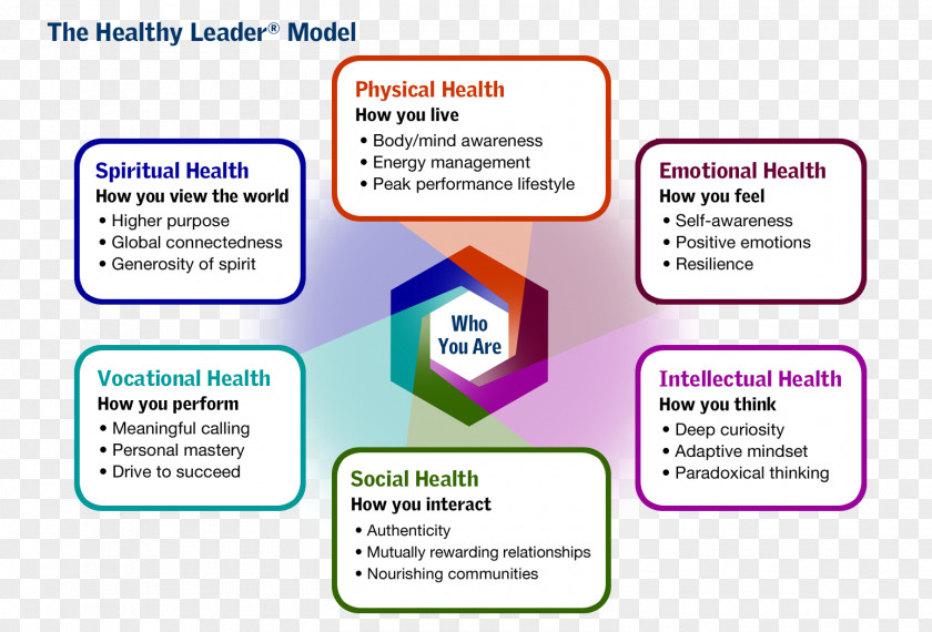 Health Six Dimensions Of Leadership Holism PNG