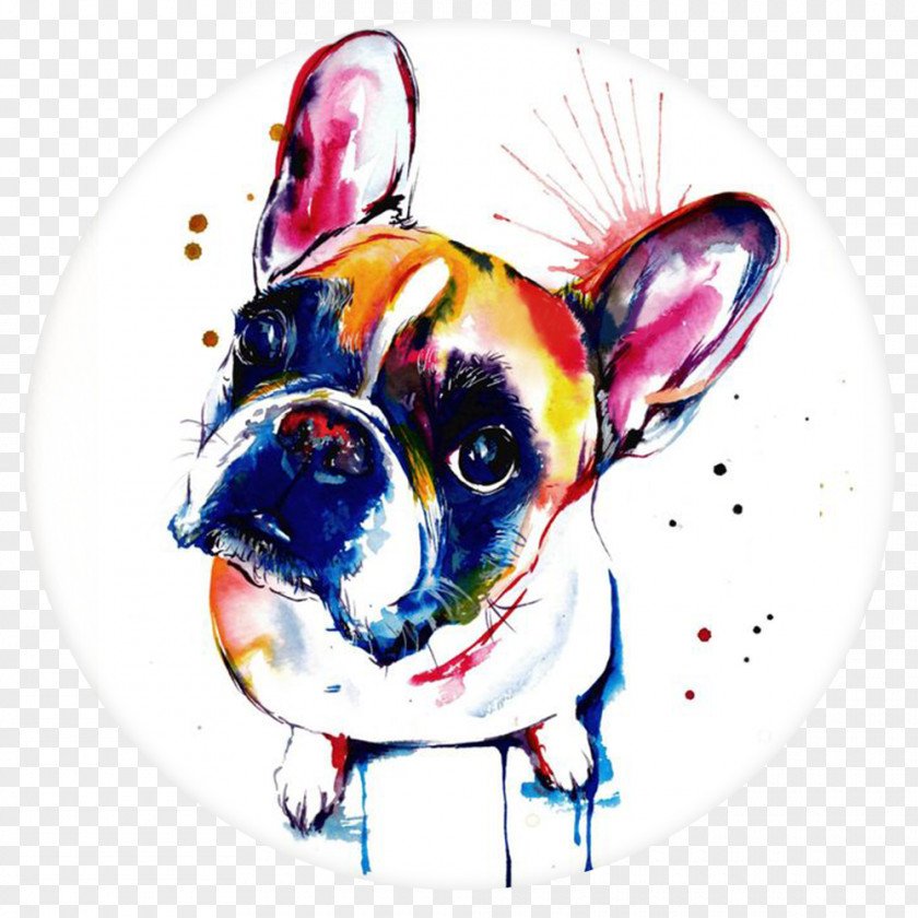 Painting French Bulldog Pit Bull Boston Terrier Watercolor PNG
