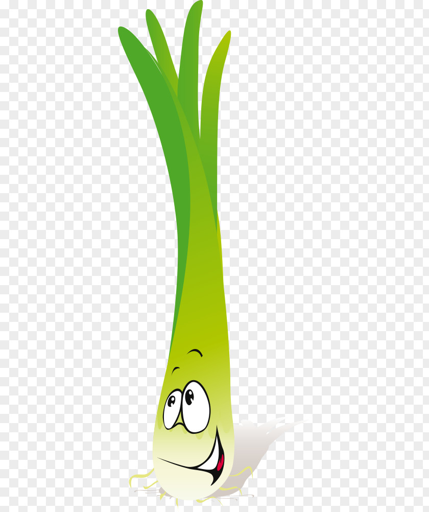 Vector Vegetable Cartoon Garden Radish Illustration PNG