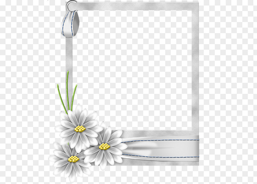 White Flower Frame Transparent Picture Clip Art PNG