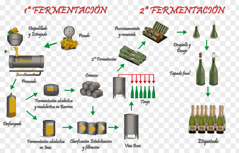 Wine Sparkling White Champagne Winemaking PNG
