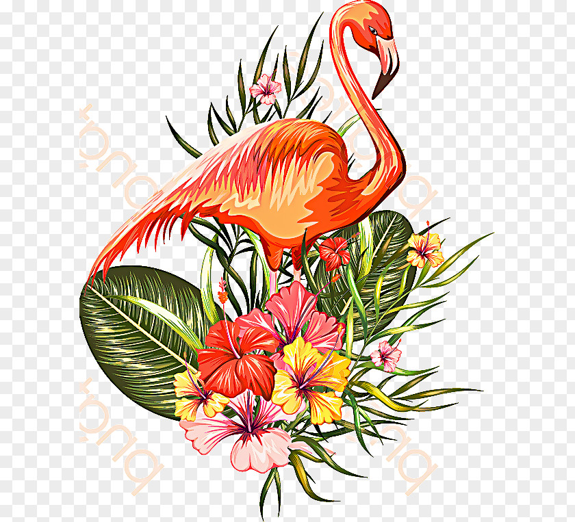 Crane Anthurium Flowers Background PNG