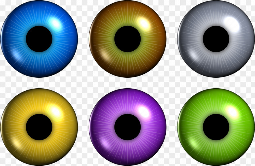 Eye Iris Pupil Retina Clip Art PNG