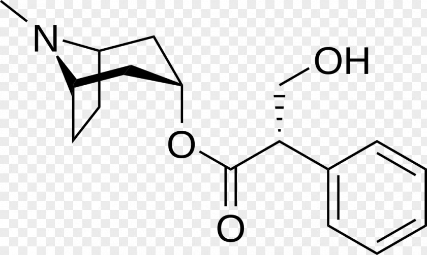 Photosensitive Hyoscyamus Niger Hyoscyamine Belladonna Hyoscine Atropine PNG