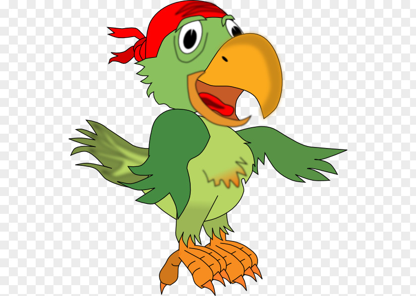 Pirate Parrot MacNider Art Museum Jokes: Clean Jokes Chicken PNG