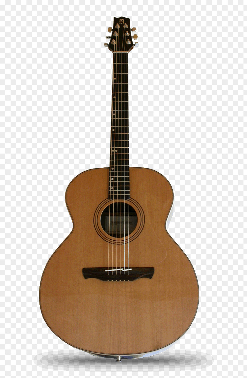 Acoustic Guitar Dreadnought Electric Classical PNG
