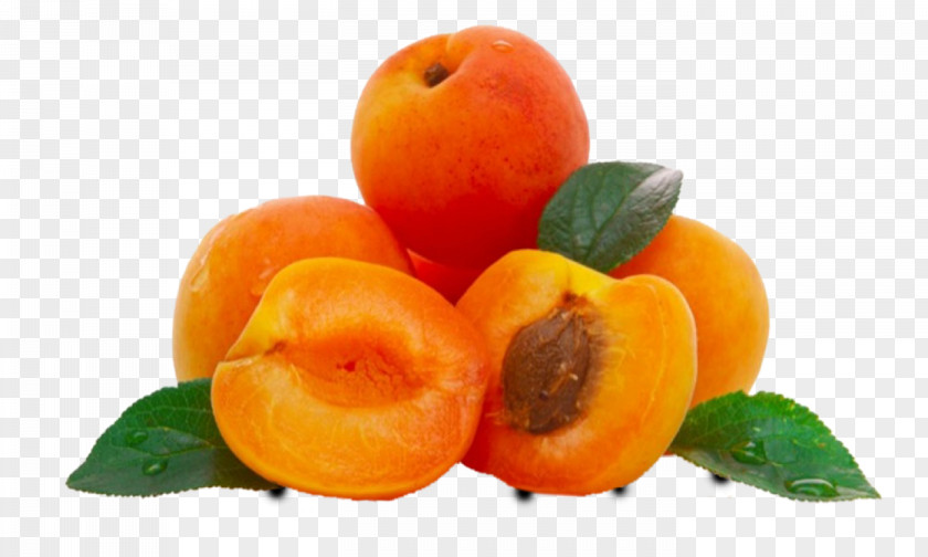 Apricot Oil Kernel Carrier Walnut PNG