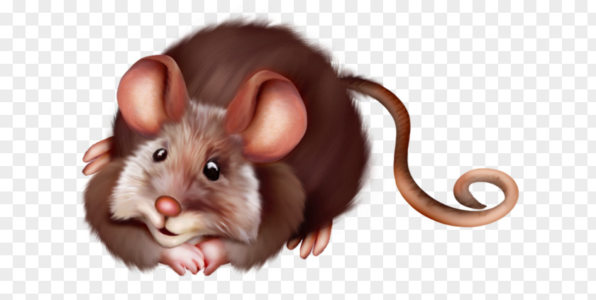 Computer Mouse Rat Clip Art PNG