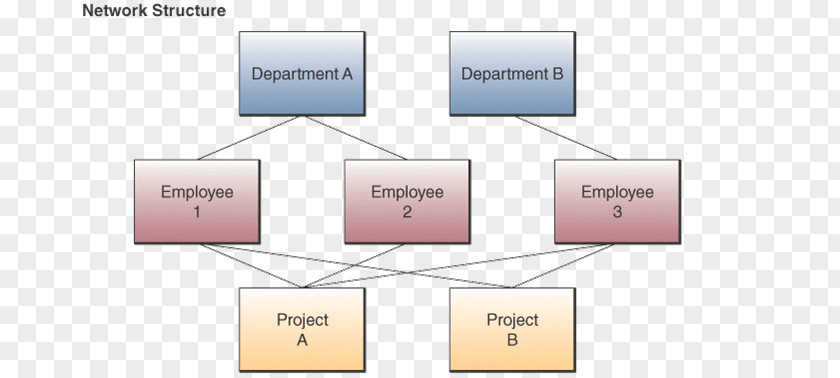 Network Structure Database Data Model PNG