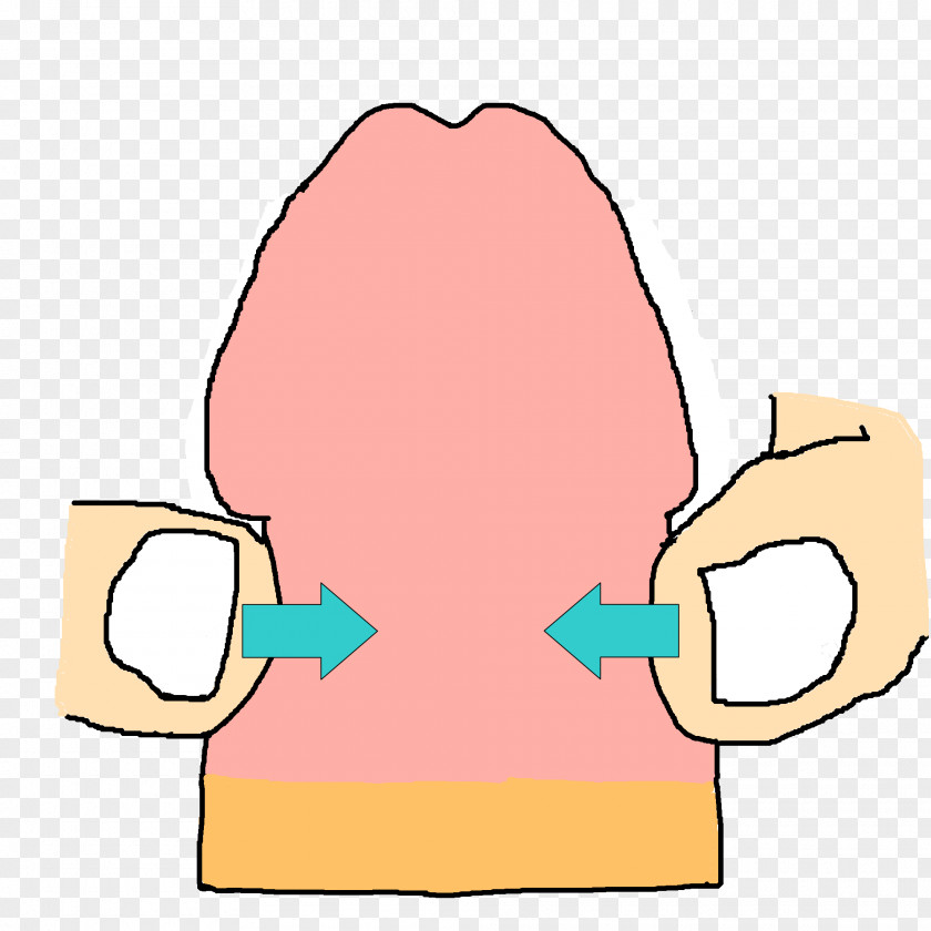 Phimosis Sexual Intercourse Masturbation Sex Education 熟女 PNG intercourse education 熟女, chin template clipart PNG