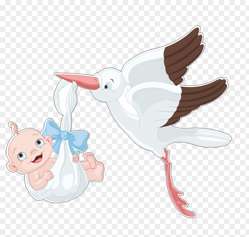 Stork Stock Photography Royalty-free Vector Graphics Illustration PNG