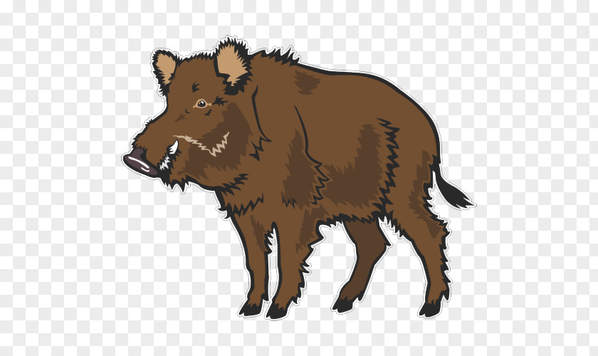 Wild Boar Common Warthog Clip Art PNG