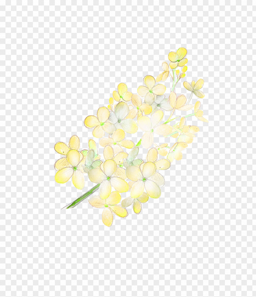 A Bouquet Of Yellow Flowers Download PNG