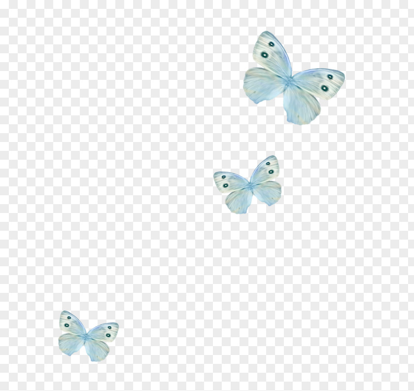 Butterfly Turquoise Blue Clip Art PNG