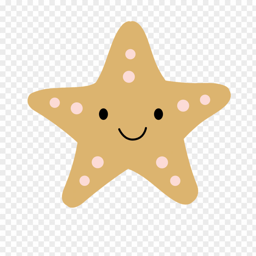 Colored Starfish Sea PNG