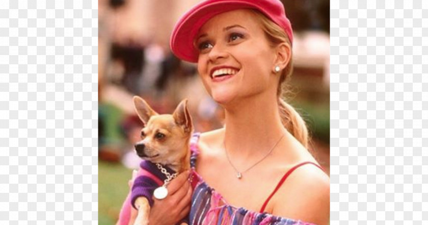 Deacon Reese Phillippe Witherspoon Legally Blonde Elle Woods Chihuahua Death PNG