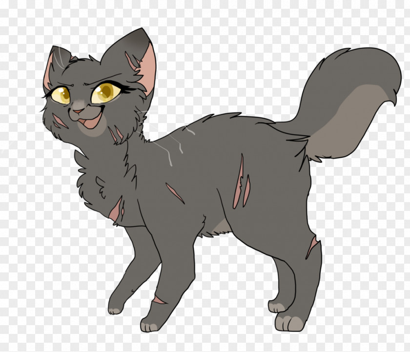 Kitten Yellowfang's Secret Whiskers Warriors PNG