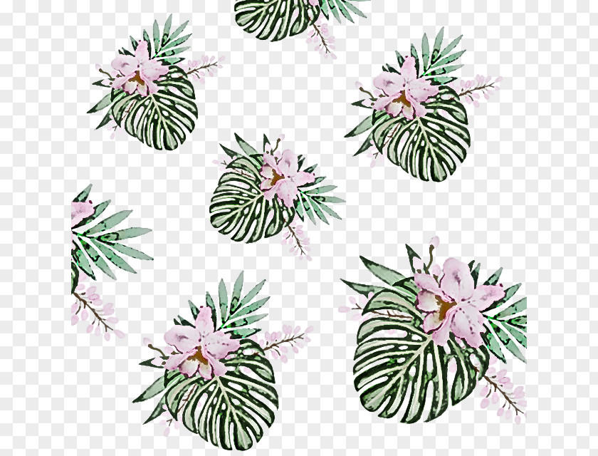 Plant Flower Pattern Wildflower PNG