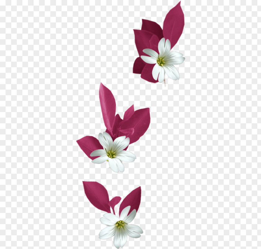 White Lily Decoration Flower Bokmxc3xa4rke Clip Art PNG